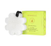 Spongellé Boxed Flower Body Wash Infused Buffer - Coconut Verbena 85g