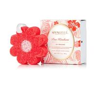 SPONGELLÉ Hawaiian Collection Body Wash-Infused Buffer Bath Sponge | Cleansing & Exfoliating Sponge | Massages & Nourishes | Shower Puff with Fragrant Body Wash | 14+ Showers | Pua Kenikeni