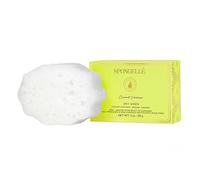 Spongellé Pedi-Buffer - Cleanse, Exfoliate & Polish Feet - Coconut Verbena