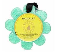 Spongellé Wild Flower Body Wash Infused Buffer, Coconut Verbena