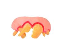 Spoofing Toys More Shape Funny Dentures Teeth (F, 5x2x3cm)