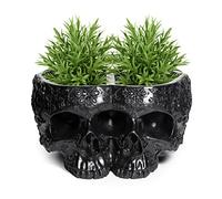 Spooky Double Head Skull Planter Pots 4" H Polyresin Skulls Succulents Outdoor & Indoor Plants & Flowers - Serving Bowl, Skeleton Home Black Goth Décor