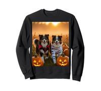 Spooky Paws Border Collie Funny Halloween Dog Lover Gifts Sweatshirt