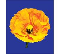 SPOON/MISSING YOU (PART 2)