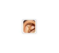 SPORCLO Hidden Helix Flat Back Stud Earrings Surgical Steel 16G Piercing