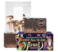 SPORE SORCERY 2 LB All-in-One Grow Kit: Up to 32oz of Mushrooms! Nutrient-Enhanced, Injection Port, Just Add Your Own Spores & Grow Like Magic