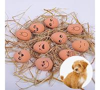 sporful 10 Pcs Rubber Bouncy Egg Ball Toy for Pets - Funny Bouncing Chew Training Toy for Dogs and Cats