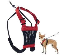 Sporn XS No Pull Dog Harness for Small Sized Dogs - Extra Small, Red, Adjustable, Padded, Easy On and Off Mesh Puppy Harness, Prevents Pulling and Choking