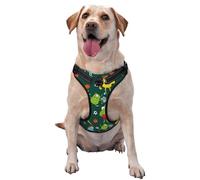 Sport Monster Pattern Dog Harness - Lightweight,Soft,Adjustable Small Harness and Leash Set, Suitable for Puppy Small and Medium-Sized Dog-Large