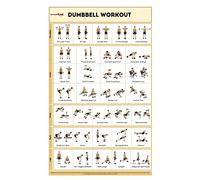 SPORTAXIS No-Equipment Laminated Dumbbell Workout Wall Art - Home Workout Poster for Men and Women - Advanced Home Training