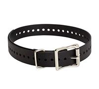 SportDog D-Strap1-BLK 1 in. E Collar Replacement Strap - Black