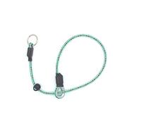 Sporting Saint Field Trial PRO Slip Collar (Small, Olive)