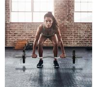 SPORTNOW Olympic Weight Plates Set With 2inch - 5cm Holes For Home Gym - 2 x 5KG | TJ Hughes