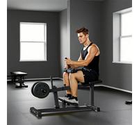 Sportnow Seated Adjustable Leg Extension Machine With Plate Loaded In Black Black