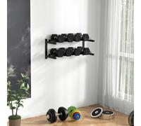 SPORTNOW Wall-Mounted Dumbbell Rack, 2-Tier Steel Design - Black