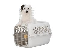SportPet 24” X-SMALL 2-Door Top Load Hard Sided Pet Carrier Kennel - Easy Access Durable Plastic Travel Crate with Carry Handle - Dog, Cat, Rabbit, & Small Pet, Ventilated for Car, Vet, & Home - Cream