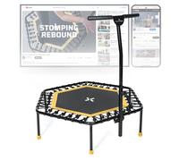 SportPlus Fitness Trampoline Indoor Jumping