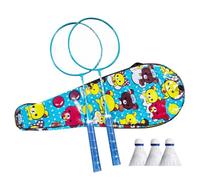 Sports Badminton Racket Professional Portable Badminton Rackets
