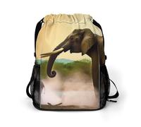 Sports Belt Pocket, Africa Elephant Print Dry And Wet Separation Bag All-purpose Gym Bag Sports And Fitness Bag Stylish Sports Bag, style, 45.5x41.5x36cm, Travel Backpacks