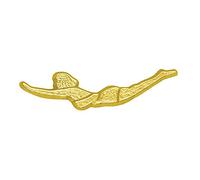 Sports Chenille Lapel Pins: 44 Varieties - Bright Gold - Unisex - Clutch Back, 1 Pack, Zinc, sphalerite