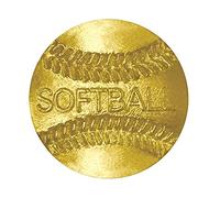 Sports Chenille Lapel Pins: 44 Varieties - Bright Gold - Unisex - Clutch Back, 1 Pack, Zinc, sphalerite