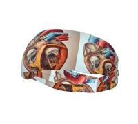 Sports Decorative Sweatband AEKGOHP Human Anatomy Heart Chart Printed - Stretchable, Breathable, Soft, and Sweat Wicking Headband for Men and Women