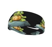 Sports Decorative Sweatband BCLDBMD Cute turtle on the stone Picture - Stretchable, Breathable, Soft, and Sweat Wicking Headband for Men and Women
