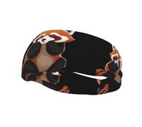 Sports Decorative Sweatband BCLDBMD Red panda wiping tears Picture - Stretchable, Breathable, Soft, and Sweat Wicking Headband for Men and Women
