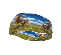 Sports Decorative Sweatband BROLEO Horses on the Prairie Picture - Stretchable, Breathable, Soft, and Sweat Wicking Headband for Men and Women