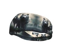 Sports Decorative Sweatband BROLEO Two wolves Picture - Stretchable, Breathable, Soft, and Sweat Wicking Headband for Men and Women