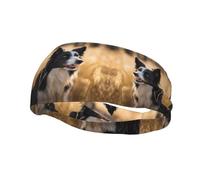 Sports Decorative Sweatband YYHHAOFA Border Collie stamp - Stretchable, Breathable, Soft, and Sweat Wicking Headband for Men and Women