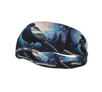 Sports Decorative Sweatband YYHHAOFA Magpie In The Starry Sky stamp - Stretchable, Breathable, Soft, and Sweat Wicking Headband for Men and Women