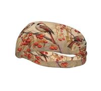 Sports Decorative Sweatband YYHHAOFA Sparrow On Red Fruit Branch stamp - Stretchable, Breathable, Soft, and Sweat Wicking Headband for Men and Women