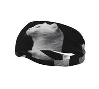 Sports Decorative Sweatband YYHHAOFA White Cat Looking Into The Distance stamp - Stretchable, Breathable, Soft, and Sweat Wicking Headband for Men and Women