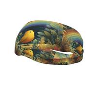 Sports Decorative Sweatband YYHWHJDE Little Birds Under The Rainbow Pattern - Stretchable, Breathable, Soft, and Sweat Wicking Headband for Men and Women