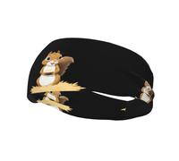 Sports Decorative Sweatband YYHWHJDE Little squirrel picking rice Prints - Stretchable, Breathable, Soft, and Sweat Wicking Headband for Men and Women
