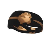 Sports Decorative Sweatband YYHWHJDE Long tailed groundhog Prints - Stretchable, Breathable, Soft, and Sweat Wicking Headband for Men and Women