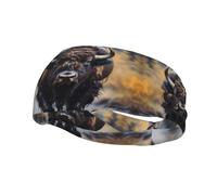 Sports Decorative Sweatband YYHWHJDE North American bison Prints - Stretchable, Breathable, Soft, and Sweat Wicking Headband for Men and Women