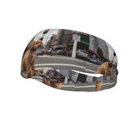 Sports Decorative Sweatband YYHWHJDE Puppy waiting for traffic light Prints - Stretchable, Breathable, Soft, and Sweat Wicking Headband for Men and Women