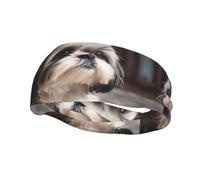 Sports Decorative Sweatband YYHWHJDE Shih Tzu Dog Prints - Stretchable, Breathable, Soft, and Sweat Wicking Headband for Men and Women