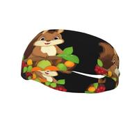 Sports Decorative Sweatband YYHWHJDE Squirrel In The Fruit Basket Pattern - Stretchable, Breathable, Soft, and Sweat Wicking Headband for Men and Women