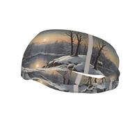 Sports Decorative Sweatband YYHWHJDE The bitter cold winter Prints - Stretchable, Breathable, Soft, and Sweat Wicking Headband for Men and Women