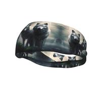 Sports Decorative Sweatband YYHWHJDE Two wolves Prints - Stretchable, Breathable, Soft, and Sweat Wicking Headband for Men and Women