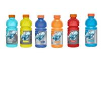 Sports Drink, 591ml bottled drinks | Gade (24 Cans (Full Case), Random Mixed Flavours)