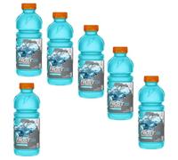 Sports Drink, 591ml bottled drinks | Gade (6 Cans, Glacier Freeze)