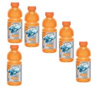 Sports Drink, 591ml bottled drinks | Gade (6 Cans, Orange)