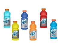 Sports Drink, 591ml bottled drinks | Gade (6 Cans, Random Mixed Flavours)