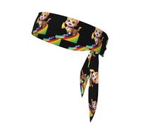Sports Head Tie DLXW Kitten Playing on The Rainbow Ladder Prints Quick Drying, Moisture Wicking for Women, Girls, and Men, Workout. Lightweight, Breathable