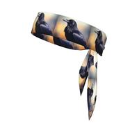 Sports Head Tie HYTTER Ravens Prints Quick Drying, Moisture Wicking, Multifunctional Athletic Band for Women and Men