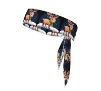 Sports Head Tie YYHWHJDE Christmas Deer Under Snowflakes Pattern Quick Drying, Moisture Wicking for Women, Girls, and Men, Workout. Lightweight, Breathable